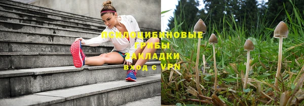 mdpv Армянск
