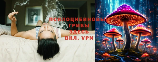 мяу мяу кристалл Алексин